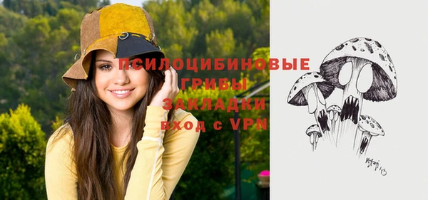 мдпв Приозерск